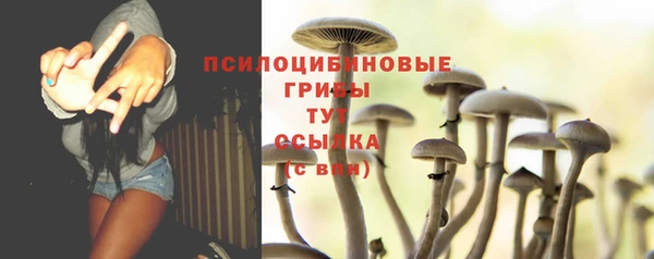 mdma Новодвинск