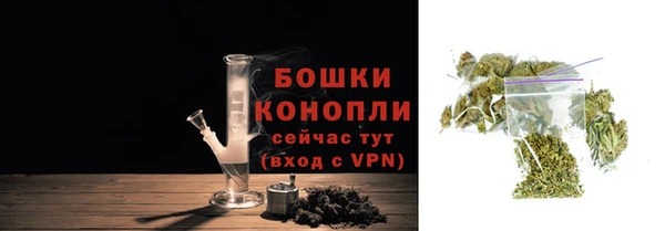 ALPHA PVP Няндома