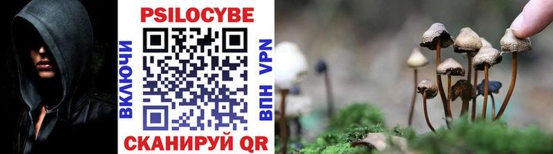 маркетплейс формула Новоаннинский Галлюциногенные грибы MAGIC MUSHROOMS